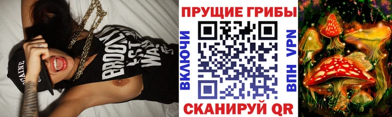 Галлюциногенные грибы MAGIC MUSHROOMS  цена   Ревда 